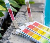 How to use sodium bisulfate in a swimming pool: dosage and precautions